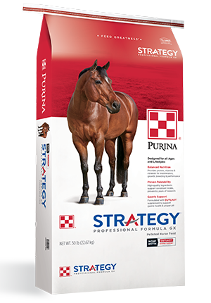 STRATEGY 50 lbs