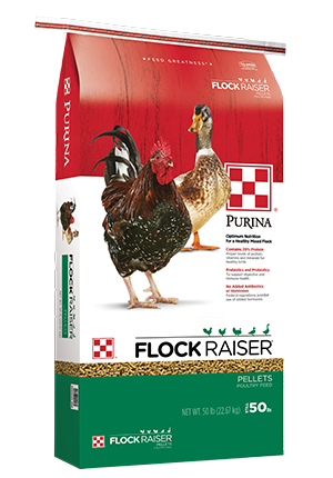 FLOCK RAISER PELLET 50 lbs