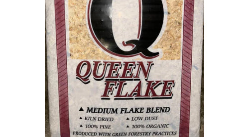 Queen Medium Pine Shavings