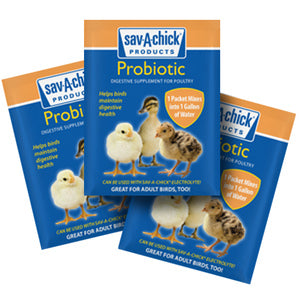 3PK SAVACHICK PROBIOTICS