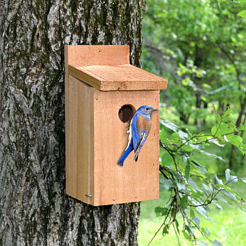 ea. BLUEBIRD HOUSE (cypress)