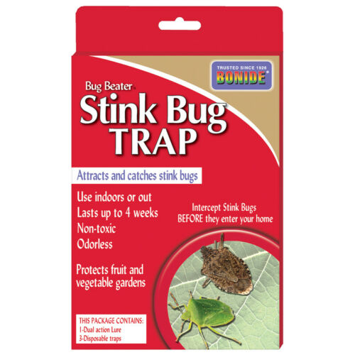 STINK BUG TRAP