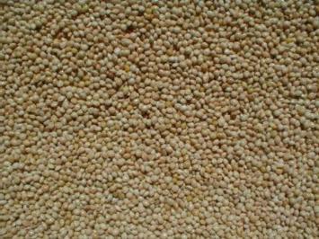 WHITE MILLET 50 lbs