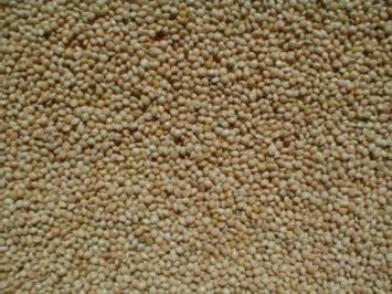 WHITE MILLET 50 lbs