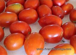 1 Gal Whole Tomatoes