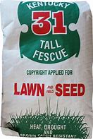 KENTUCKY 31 FESCUE SEED 5 lbs