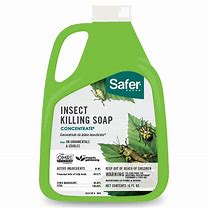 16oz Safer Brand Insect Killing Soap Concentrate