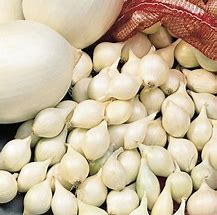 75 WHITE ONION BULBS