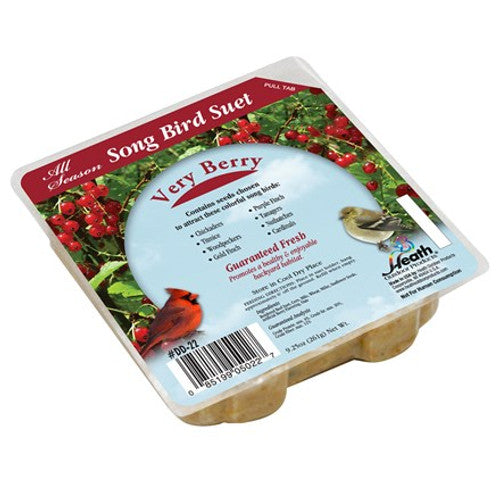 Very Berry Suet Cake