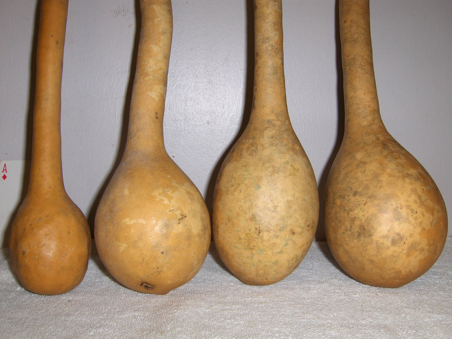 Long Handle Dipper Gourd Seeds