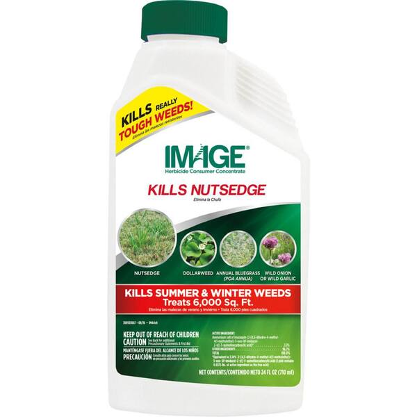 24oz Image Nutsedge Concentrate