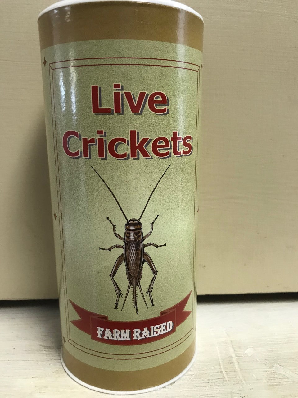 CARDBOARD CRICKET TUBE