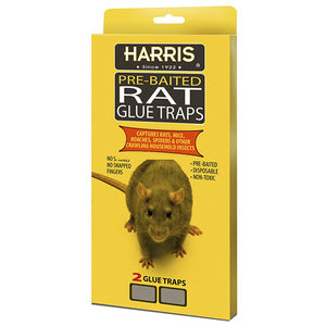HARRIS RAT GLUE TRAP 2 PACK