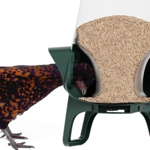 OMLET CHICKEN FEEDER 12LB