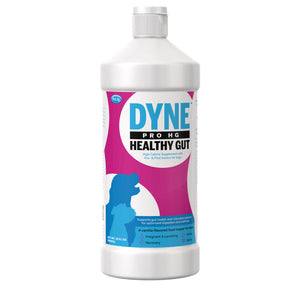DYNE 16OZ
