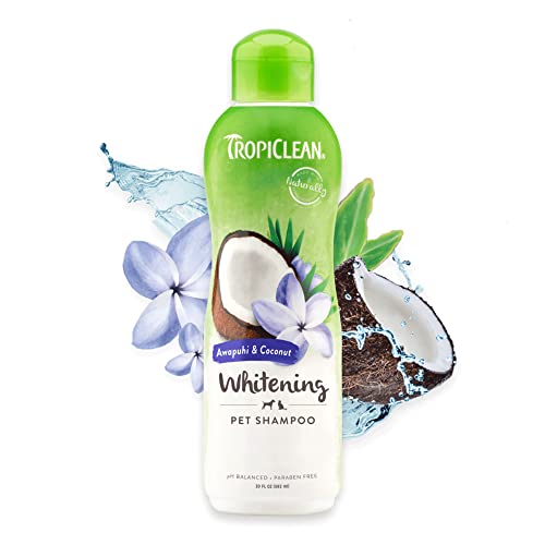 20oz Tropiclean Awapuhi & Coconut Whitening Pet Shampoo