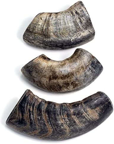 BUFFALO HORNZ DOG TOY