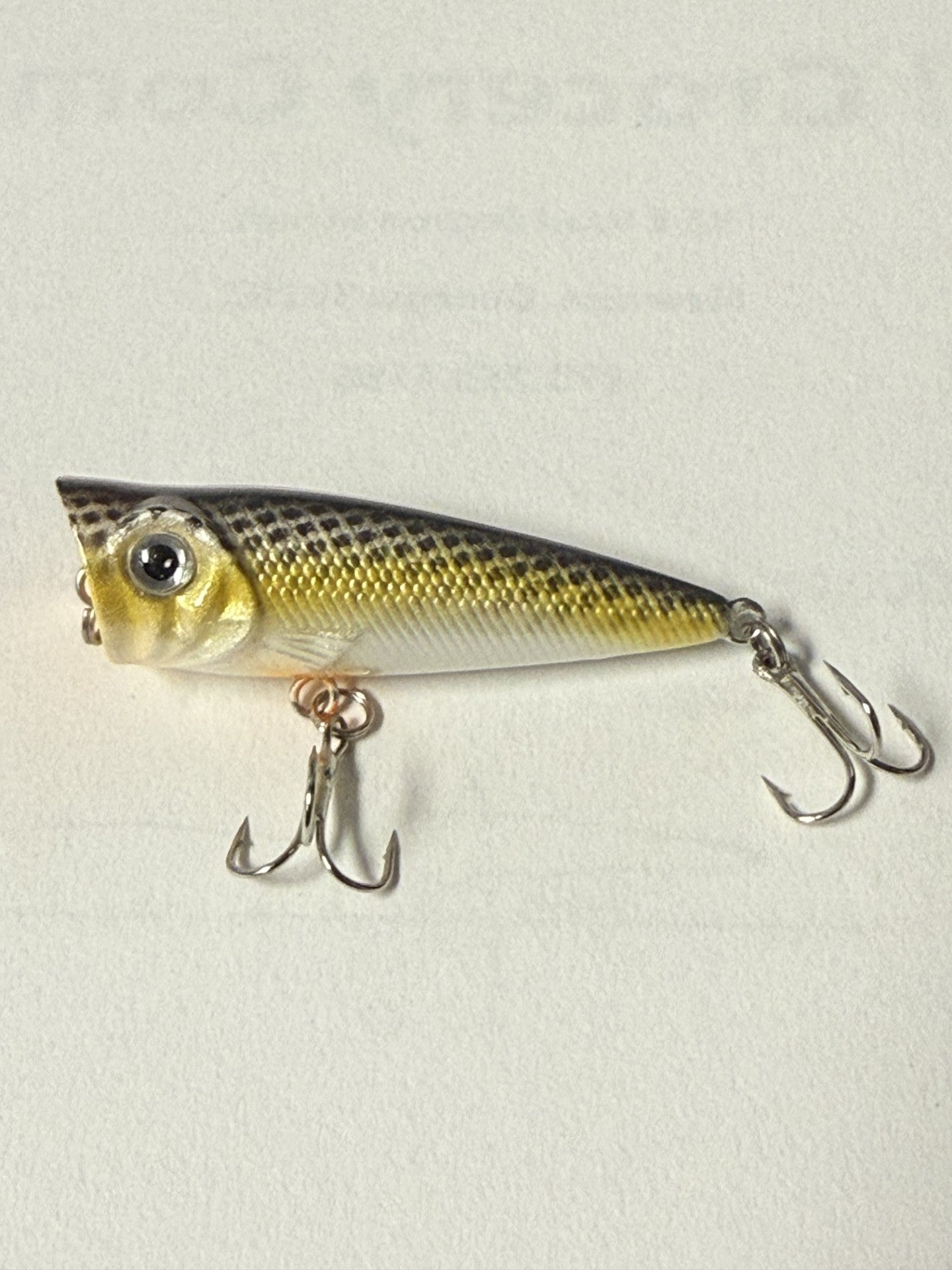 CREME FISHIN' FAVORITES