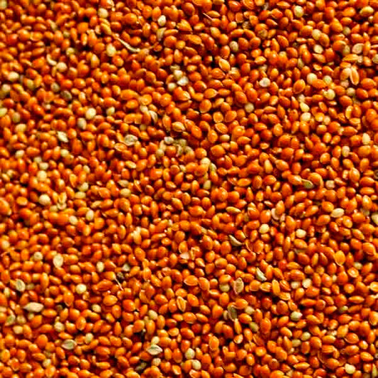 50lb Red Millet (feed)