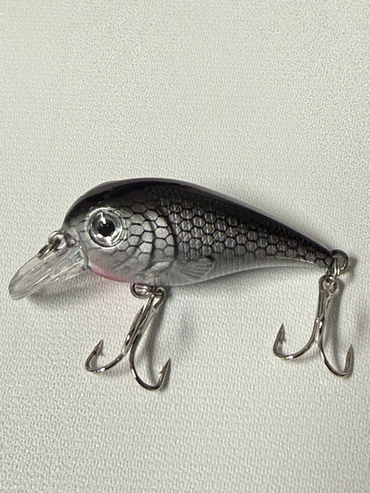 CREME FISHIN' FAVORITES