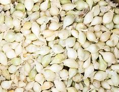 White Onion Bulb 1lb