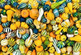 Pumpkin Mini Decorative