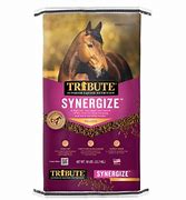 Tribute Synergize 50lb