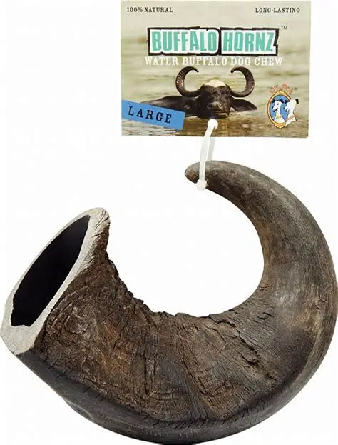BUFFALO HORNZ DOG TOY