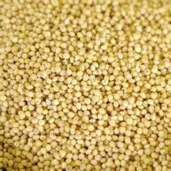 50lb Hulled White Millet