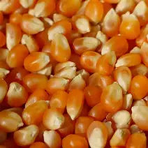 50lb South American Popcorn