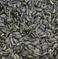 40 lb BLACK OIL SUNFLOWER SEED