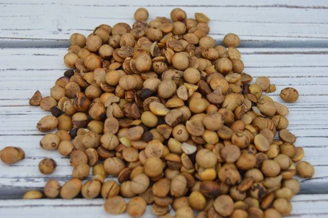 50LB ROASTED SOYBEAN FEED