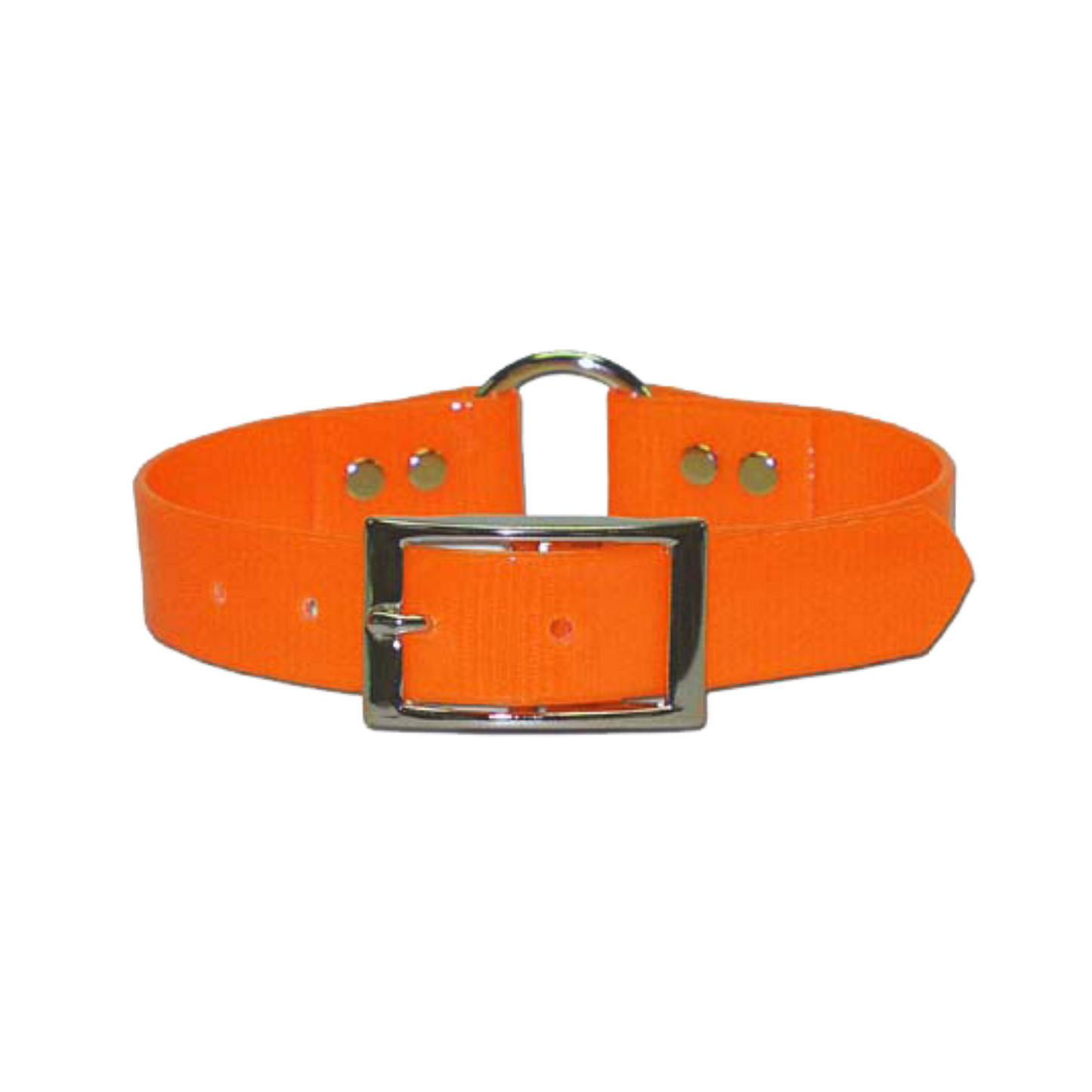 16in Reflective Collar With Sunglo Ring