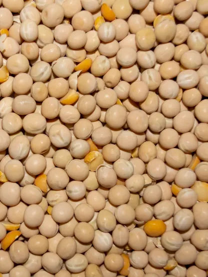 50LB TRAPPER YELLOW PEAS