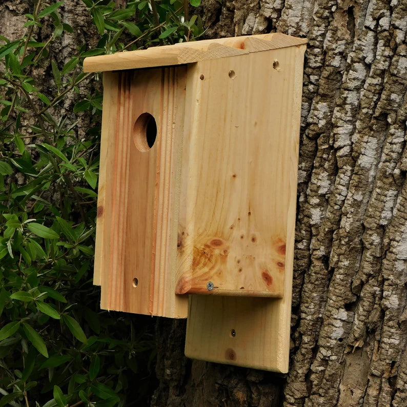 Bluebird House Pine