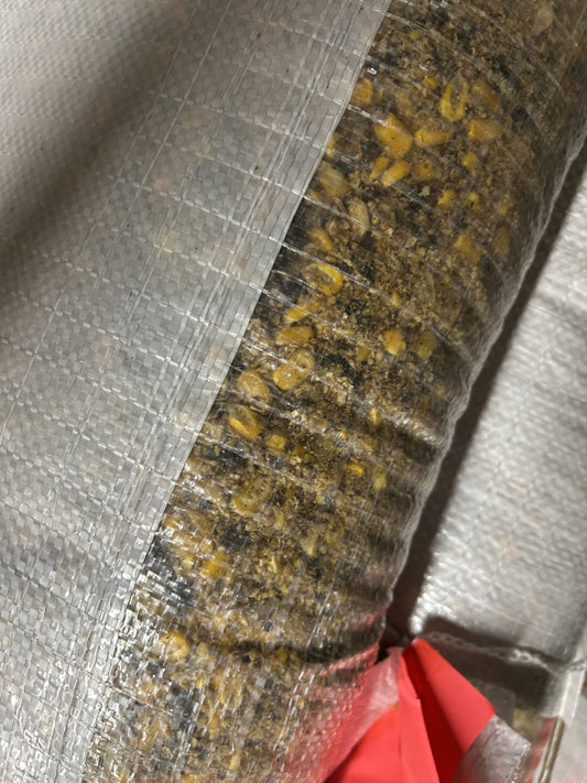 ELITE 365 APPLE DEER FEED CRUNCHY