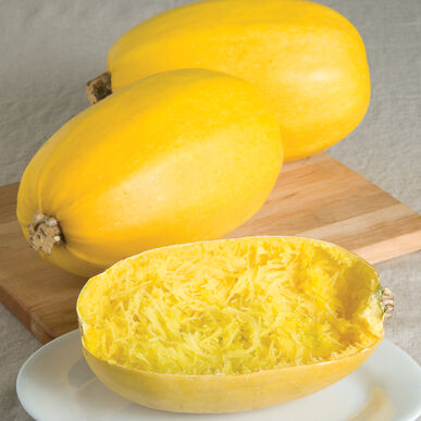 Spaghetti Squash Seeds