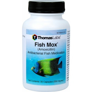 30ct Fish Mox