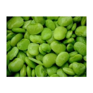 CANGREEN LIMA BEAN SEED
