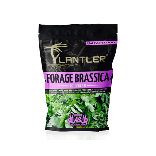 Planter Forage Brassica 8lb