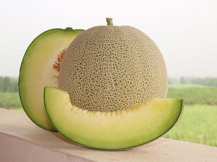 Rocky Ford Cantaloupe Seeds