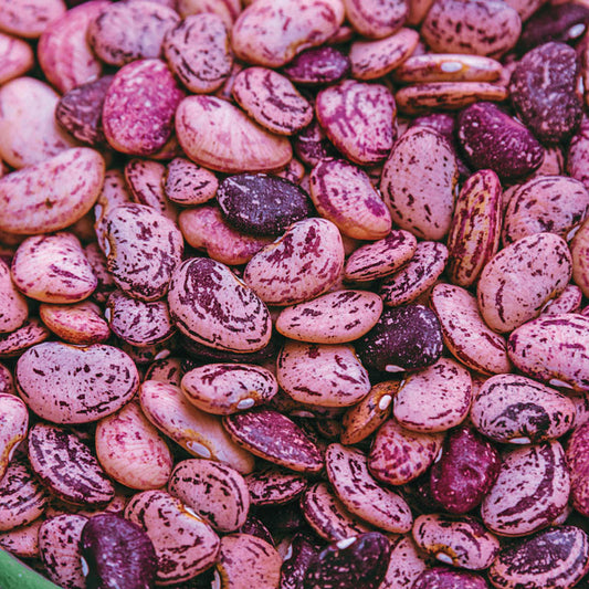 SPECKLED DIXIE BUTTERPEA SEED