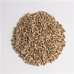 50lb Wintergrazer Rye Seed