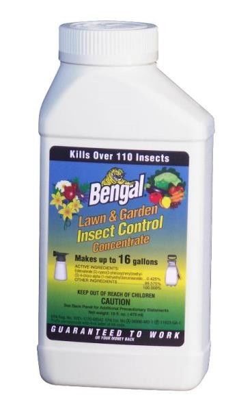 16oz Bengal Lawn and Garden Insect Control Concentrate