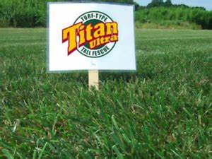 TITAN FESCUE 25 lbs