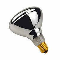Clear Heat Lamp Bulb 250 Watt