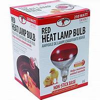 Red Heat Lamp Bulb 250 Watt