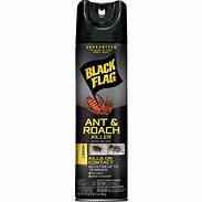 BLACK FLAG ANT & ROACH KILLER 17.5oz