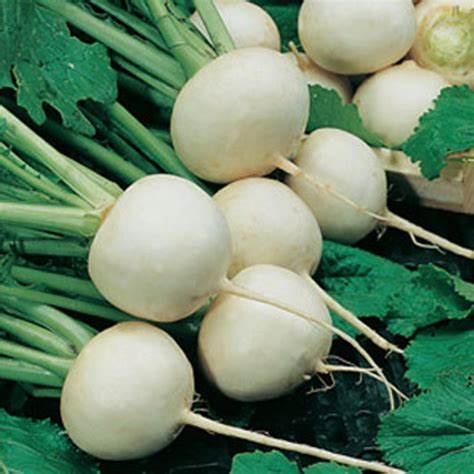 White Egg Turnip Seeds
