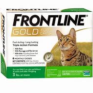 FRONTLINE GOLD FELINE 3+ LB. SINGLE DOSE